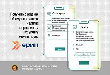 Срок уплаты имущественных налогов за 2022 г истекает 15 ноября — МНС