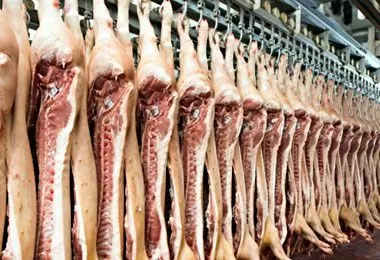 Тарифные квоты на беспошлинный ввоз свинины и мяса птицы в 2026 г распределены по областям Беларуси