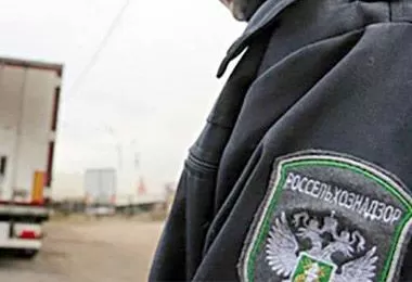 Россельхознадзор пресек ввоз пчел из Беларуси с нарушением ветеринарного законодательства