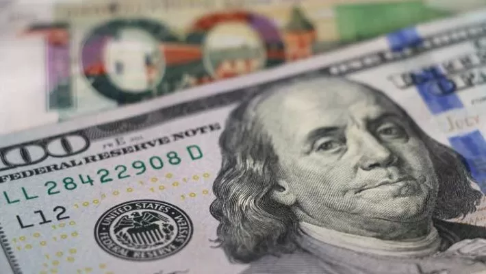 Курс доллар вырос на торгах БВФБ 28 мая, евро и российский рубль подешевели Курс доллар вырос на торгах БВФБ 28 мая, евро и российский рубль подешевели