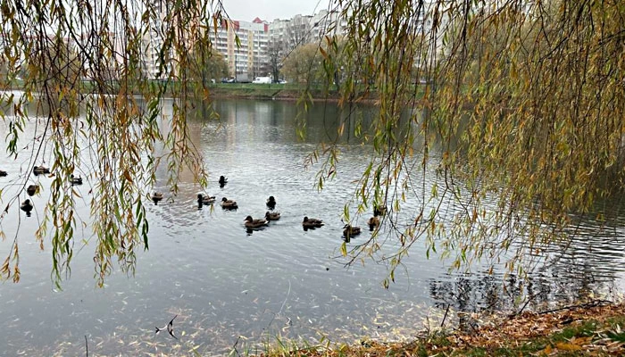 Прогноз погоды по Беларуси на 2 октября