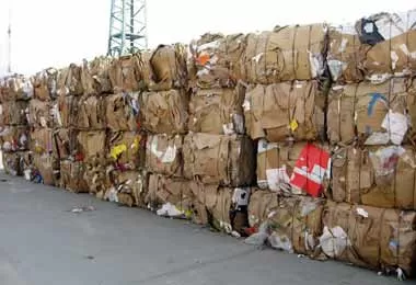 Беларусь продлила лицензирование экспорта макулатуры за пределы ЕАЭС