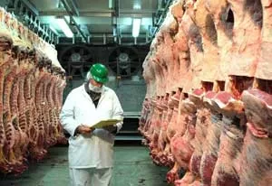 Правительство поручило распределить тарифные квоты на ввоз свинины и мяса птицы в Беларусь в 2021 г