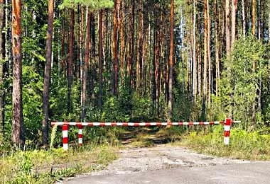 Запреты и ограничения на посещение лесов введены уже в 91 районе Беларуси