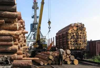 Более 4 млн кубометров круглого леса выставлено на итоговые биржевые торги
