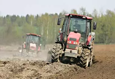 Число фермерских хозяйств в Беларуси выросло на 26% за последние семь лет