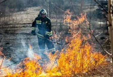В Беларуси с начала 2021 г произошло 132 лесных пожара — Минлесхоз