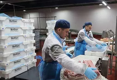 Барановичский филиал компании «Белдан» планирует поставить свою продукцию в Китай