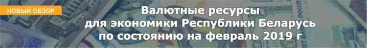 Валютные ресурсы для экономики Республики Беларусь по состоянию на февраль 2019 г 