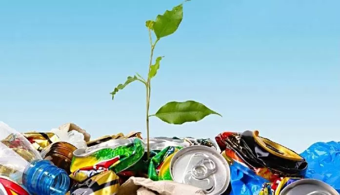 eco_nalog.jpg