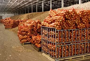 Сельхозпроизводство в Беларуси снизилось на 4,7% за 10 месяцев 2021 г