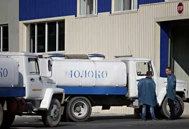 БУТБ значительно нарастила продажи сырого молока с начала года