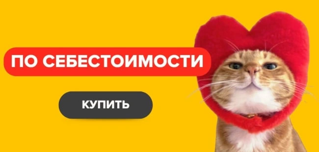 Ezoo запустил продажи на Wildberries: покупатели зоотоваров смогут заказать корм с самовывозом из фирменного магазина