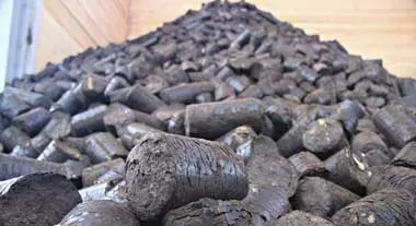 Китайские компании изучают возможности импорта торфа из Беларуси
