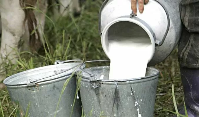 В Беларуси установлены надбавки к закупочным ценам на сельхозпродукцию населения на 2020 г