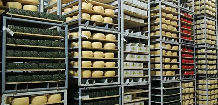 belcheese.jpg