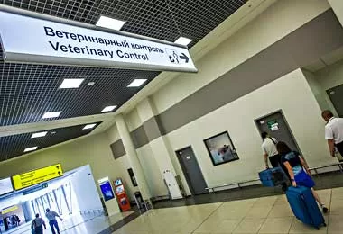 Процедуры ветеринарного контроля упрощены в ЕАЭС