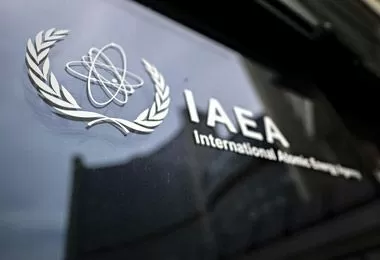 МАГАТЭ проведет инвентаризацию ядерного материала на БелАЭС и в институте «Сосны»