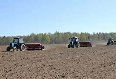 Вышел новый обзор по сельскому хозяйству Беларуси в 2020 г 