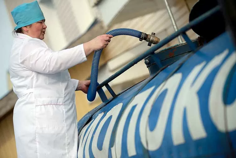 Ограничительные меры в отношении поставок в Россию молочной продукции некоторых белорусских молокозаводов могут быть сняты. Фото tass.ru