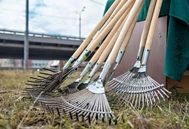 Правительство запланировало на 17 апреля республиканский субботник