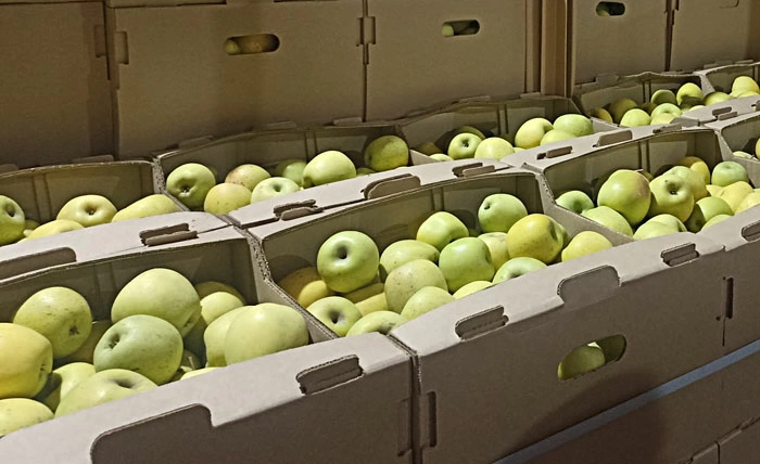 Незаконная посредническая схема по закупке сельхозпродукции у населения пресечена в Гомельской области Незаконная посредническая схема по закупке сельхозпродукции у населения пресечена в Гомельской области