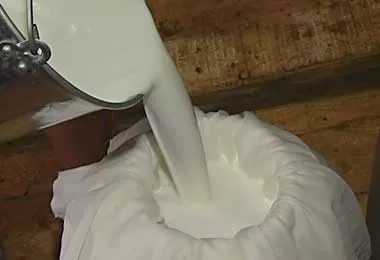 Надбавки к закупочным ценам на сельхозпродукцию населения определены в Беларуси на 2026 год
