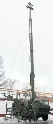 sosna-2.jpg