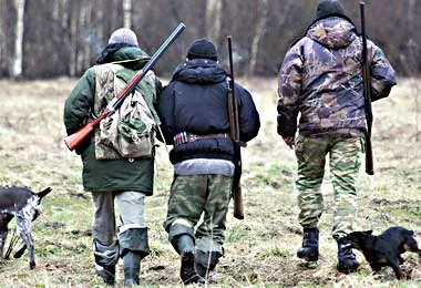 Сезон загонной охоты на копытных откроется в Беларуси 1 октября