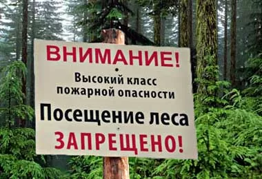 Ограничения на посещение лесов действуют в 34 районах Беларуси