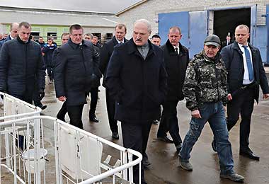 Лукашенко лично ознакомился с условиями содержания крупного рогатого скота и состоянием производственных помещений. 
