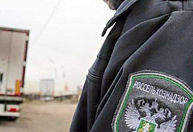 Россельхознадзор пресек попытку несанкционированного ввоза подкарантинной продукции из Беларуси