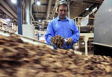 Россельхознадзор предложил перевести табачное сырье в категорию продукции высокого фитосанитарного риска