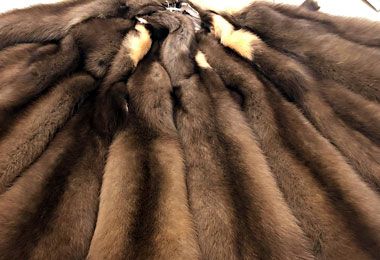 Ставки биржевого сбора на торги пушниной снижены вдвое — МАРТ