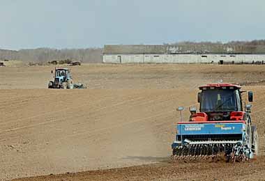 Правительство определило направления развития аграрного бизнеса Беларуси на пятилетку