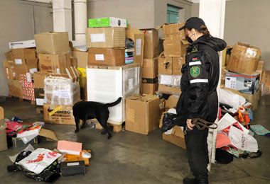 Белорусские таможенники пресекли ввоз наркотических средств