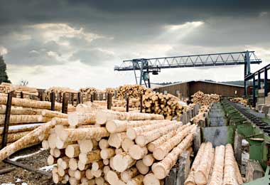 Беллесбумпром планирует в 2019 г переработать порядка 5,5 млн куб м древесины за счет ввода новых перерабатывающих мощностей