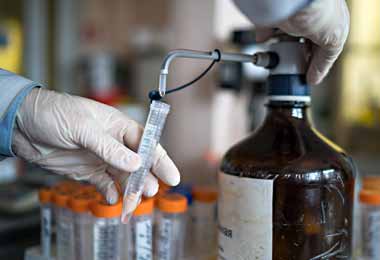 Правительство определило поставщиков биологических ветеринарных препаратов для АПК при госзакупках из одного источника