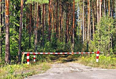 Ограничения на посещение лесов снова введены в отдельных районах Беларуси