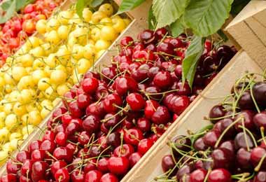 Правительство продлило срок действия продовольственного эмбарго и снова расширило перечень исключений из него