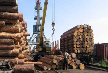 Продажи круглого леса через БУТБ выросли на 27%