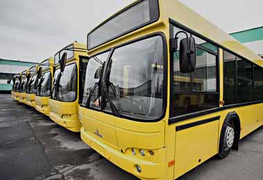 Ленинградская область России планирует закупить в Беларуси до 1,5 тыс автобусов
