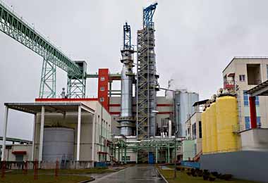 Правительство увеличивает долю государства в 11 акционерных обществах Беларуси