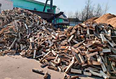 Правительство определило перечень юрлиц для реализации им дров вне биржевых торгов