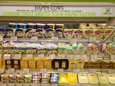 Белорусская молочная продукция продолжает завоевывать рынок Японии