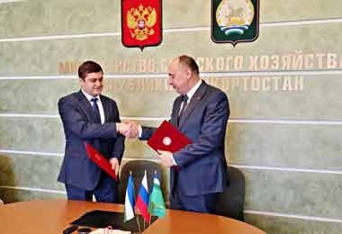 МТЗ планирует запустить сборку мини-тракторов в Башкортостане