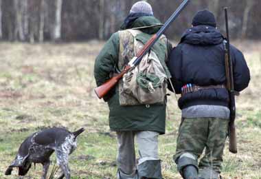 Сезон охоты на бекаса откроется в Беларуси с 11 июля