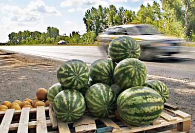 КГК выявил многочисленные нарушения в розничной торговле овощами и фруктами на территории Минской области