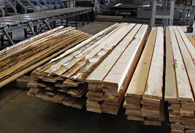 Новый цех по переработке древесины открыт в Лоевском лесхозе