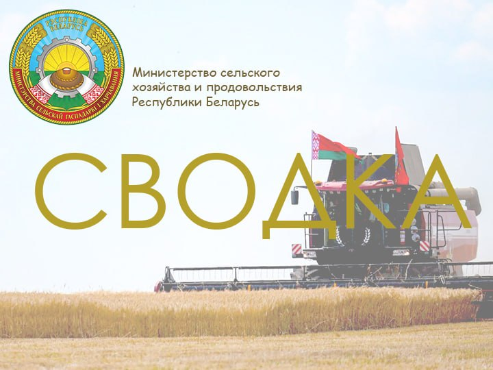 В Беларуси наличие минеральных удобрений под озимый сев составляет 85%